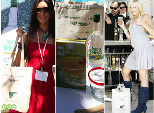 Celebs Enjoy Cool Drinks and Green Totes at the "Emmys Eco Event"
